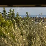 Baglio La Corte - Isulatravel מודיקה